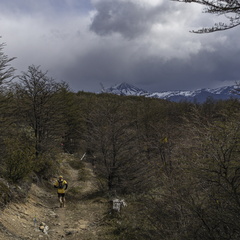 Foto: Alejandro Zoñez