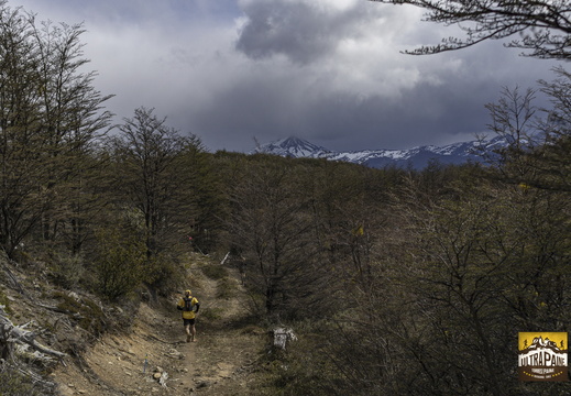 Foto: Alejandro Zoñez