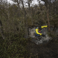 Foto: Alejandro Zoñez