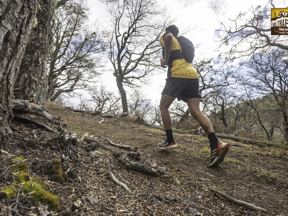 Foto: Alejandro Zoñez