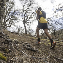 Foto: Alejandro Zoñez