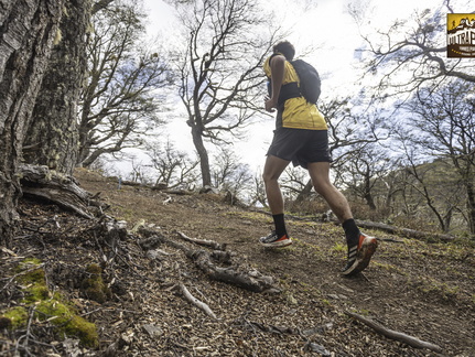 Foto: Alejandro Zoñez