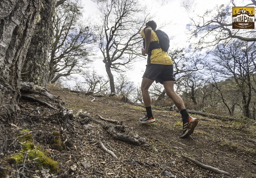 Foto: Alejandro Zoñez