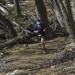 Foto: Alejandro Zoñez