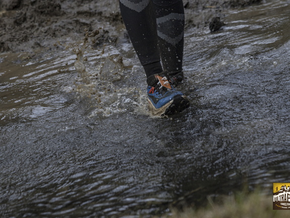 Foto: Alejandro Zoñez