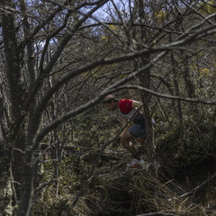 Foto: Alejandro Zoñez