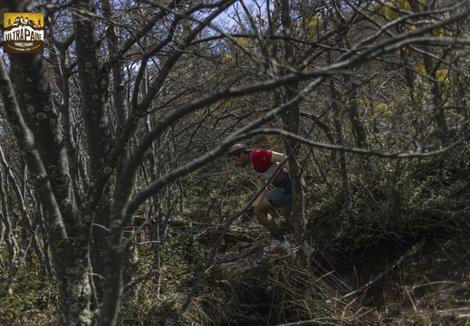 Foto: Alejandro Zoñez