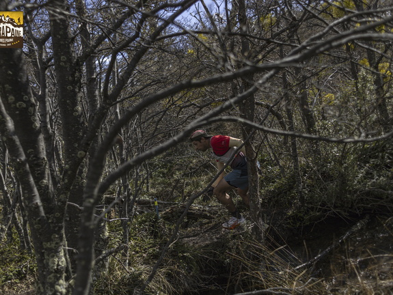 Foto: Alejandro Zoñez