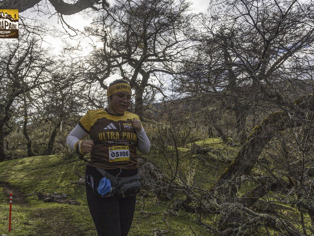 Foto: Alejandro Zoñez