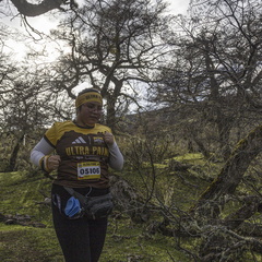 Foto: Alejandro Zoñez