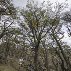 Foto: Alejandro Zoñez