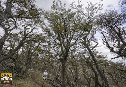 Foto: Alejandro Zoñez