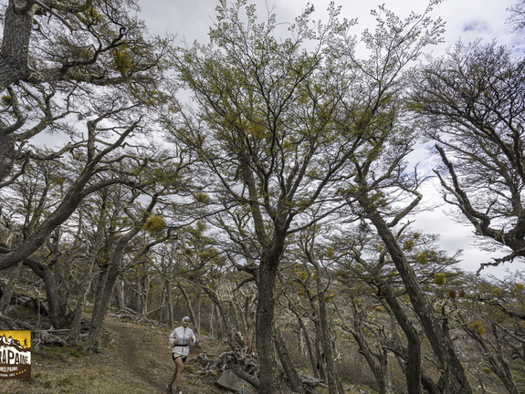 Foto: Alejandro Zoñez