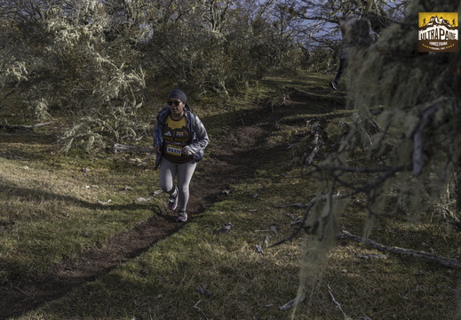 Foto: Alejandro Zoñez