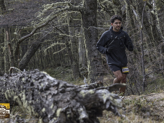 Foto: Alejandro Zoñez