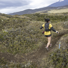 Foto: Alejandro Zoñez