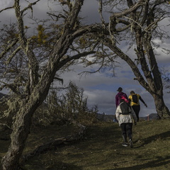 Foto: Alejandro Zoñez