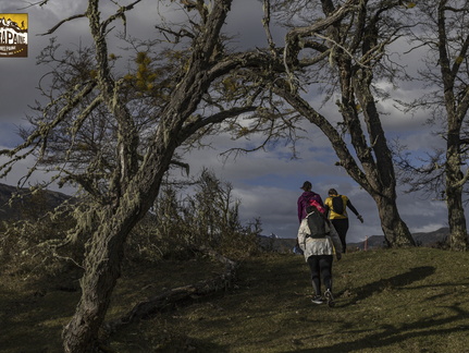 Foto: Alejandro Zoñez