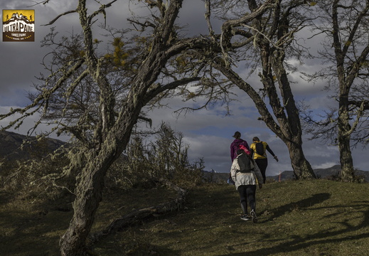 Foto: Alejandro Zoñez