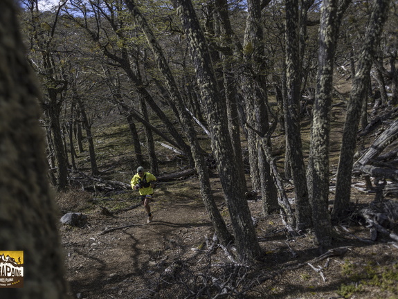 Foto: Alejandro Zoñez