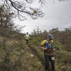 Foto: Alejandro Zoñez