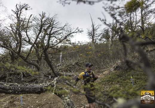 Foto: Alejandro Zoñez