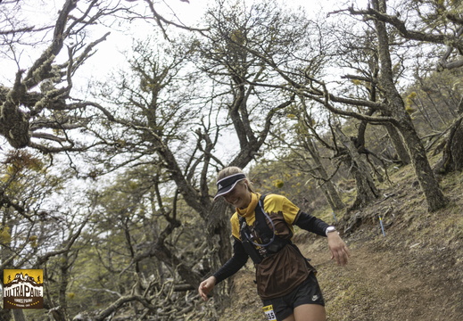 Foto: Alejandro Zoñez