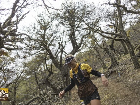 Foto: Alejandro Zoñez