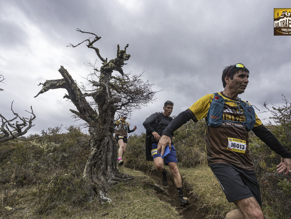 Foto: Alejandro Zoñez