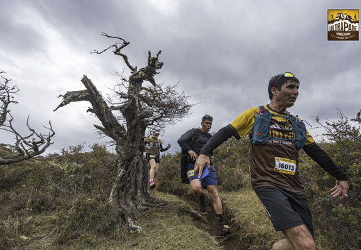 Foto: Alejandro Zoñez