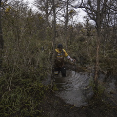 Foto: Alejandro Zoñez