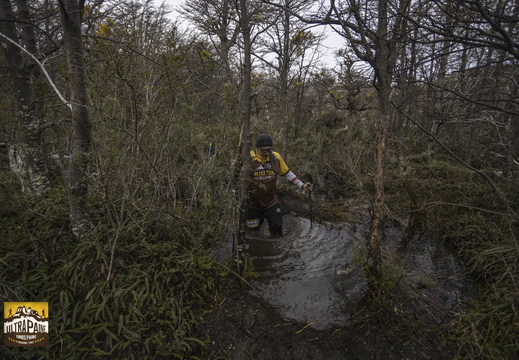 Foto: Alejandro Zoñez