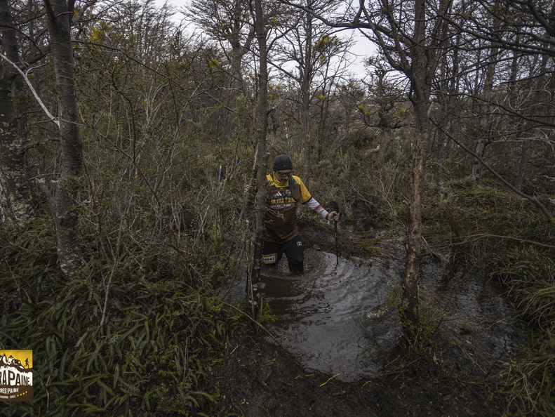 Foto: Alejandro Zoñez