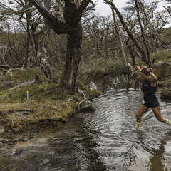 Foto: Alejandro Zoñez