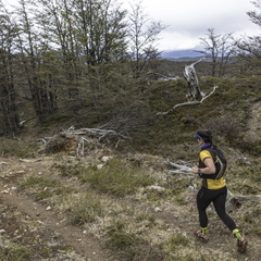 Foto: Alejandro Zoñez