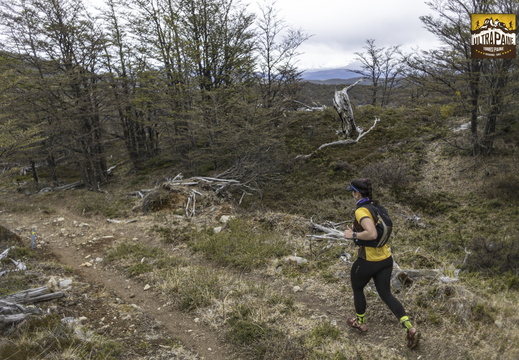 Foto: Alejandro Zoñez