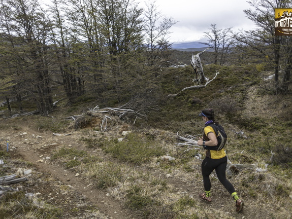 Foto: Alejandro Zoñez