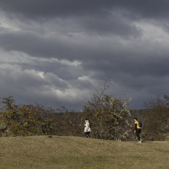 Foto: Alejandro Zoñez