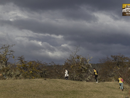 Foto: Alejandro Zoñez