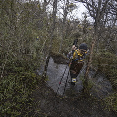 Foto: Alejandro Zoñez