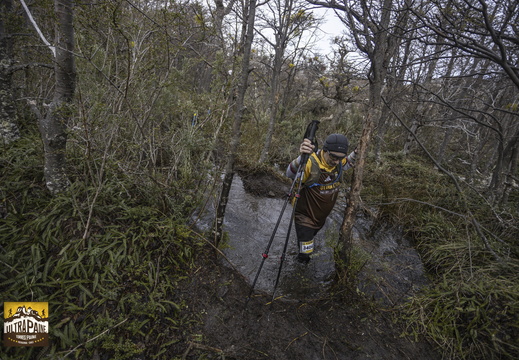 Foto: Alejandro Zoñez