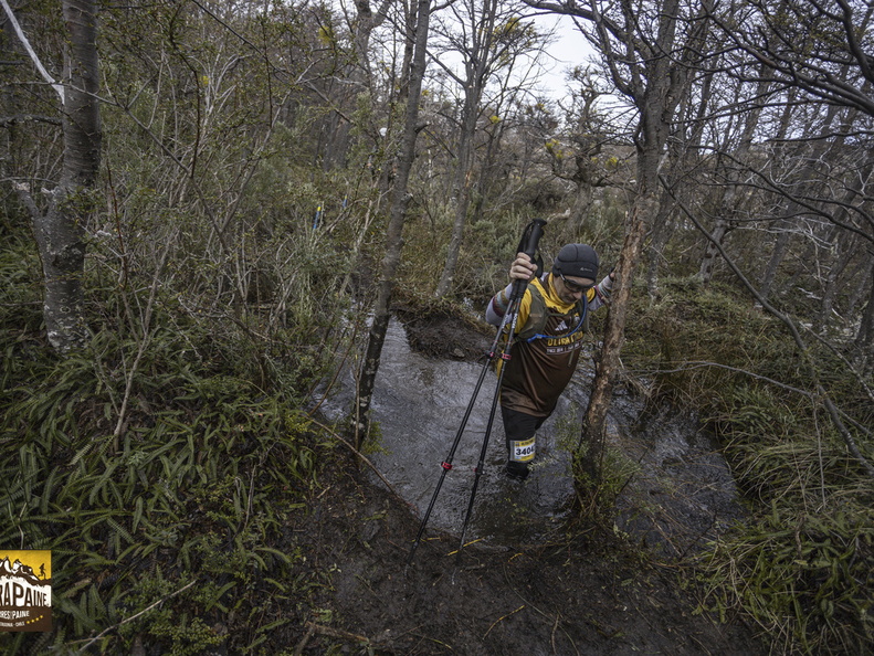 Foto: Alejandro Zoñez
