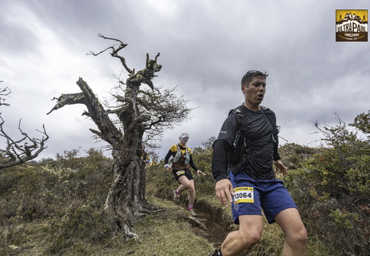 Foto: Alejandro Zoñez