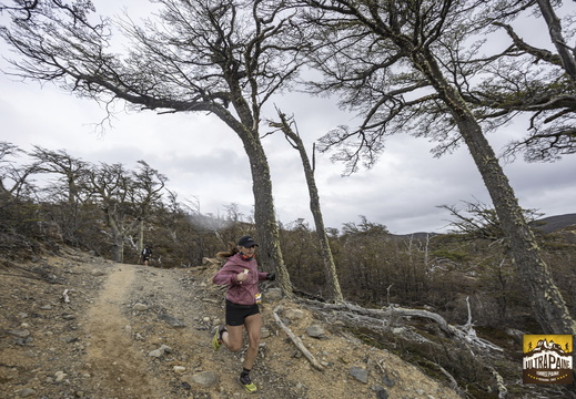 Foto: Alejandro Zoñez