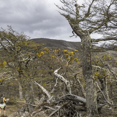 Foto: Alejandro Zoñez