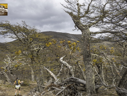 Foto: Alejandro Zoñez