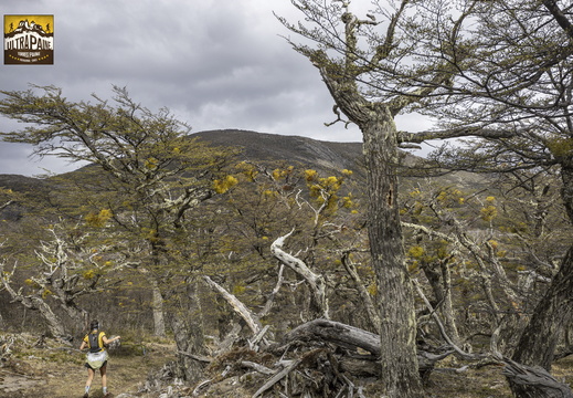 Foto: Alejandro Zoñez