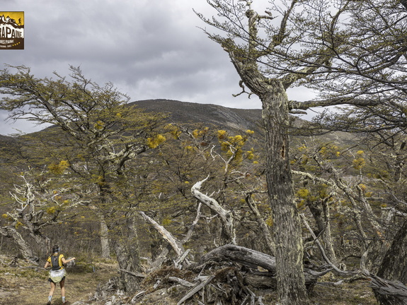 Foto: Alejandro Zoñez