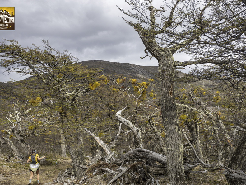 Foto: Alejandro Zoñez