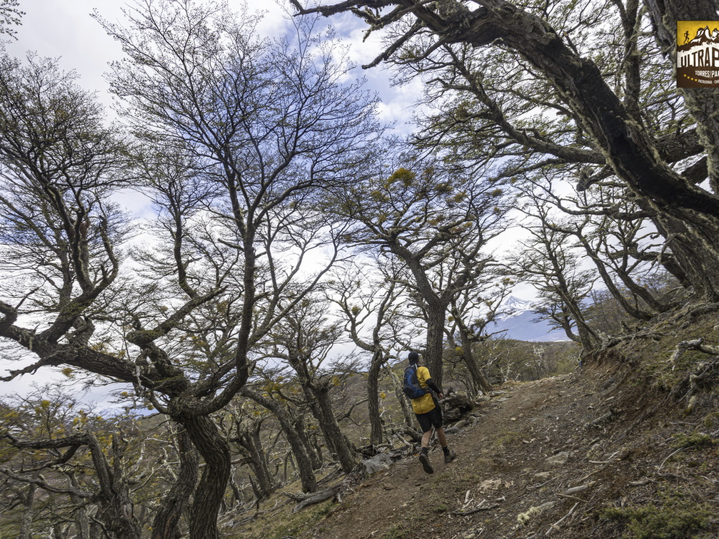 Foto: Alejandro Zoñez